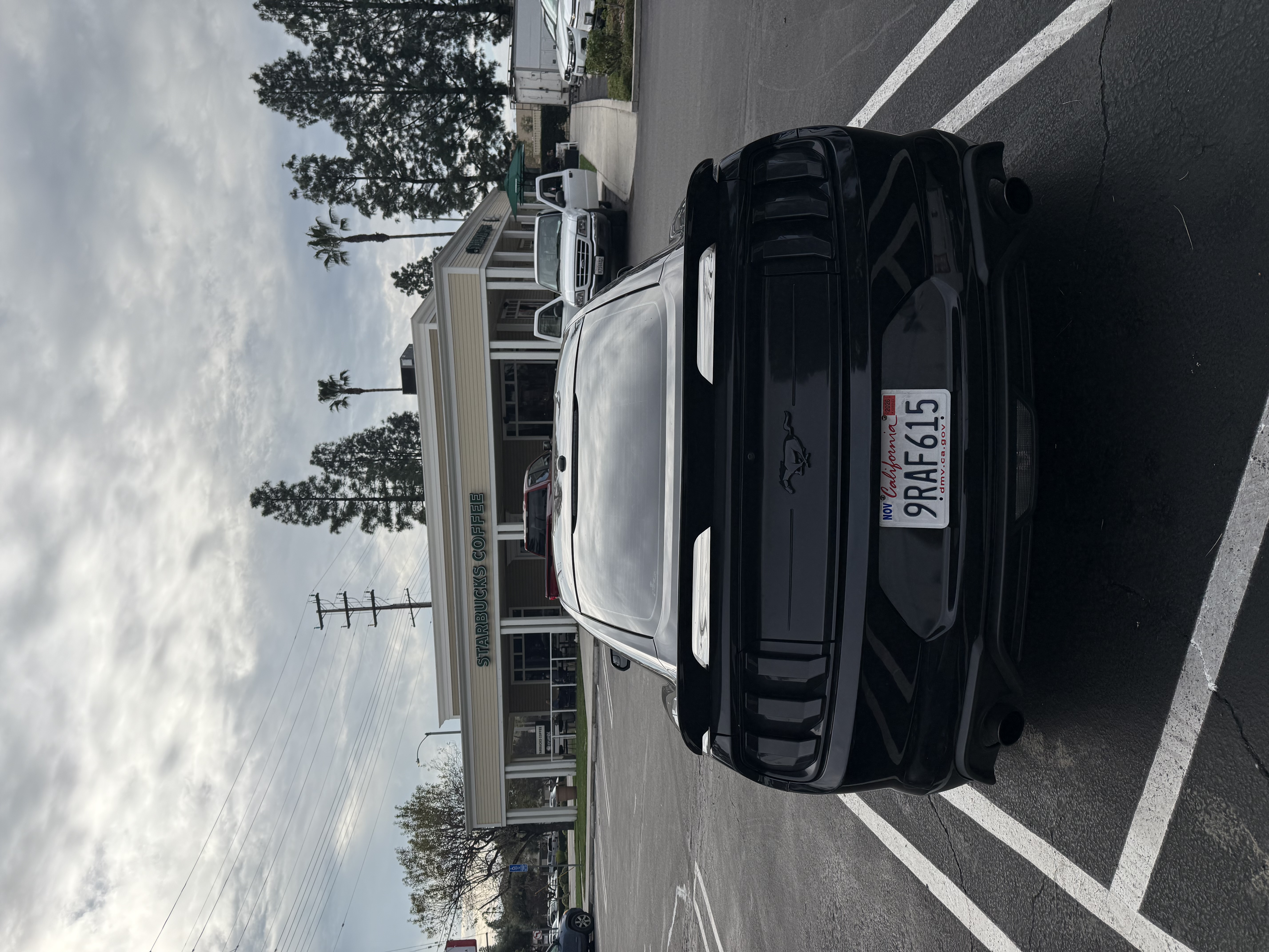 Used 2019 Ford Mustang Coupe RWD image 15