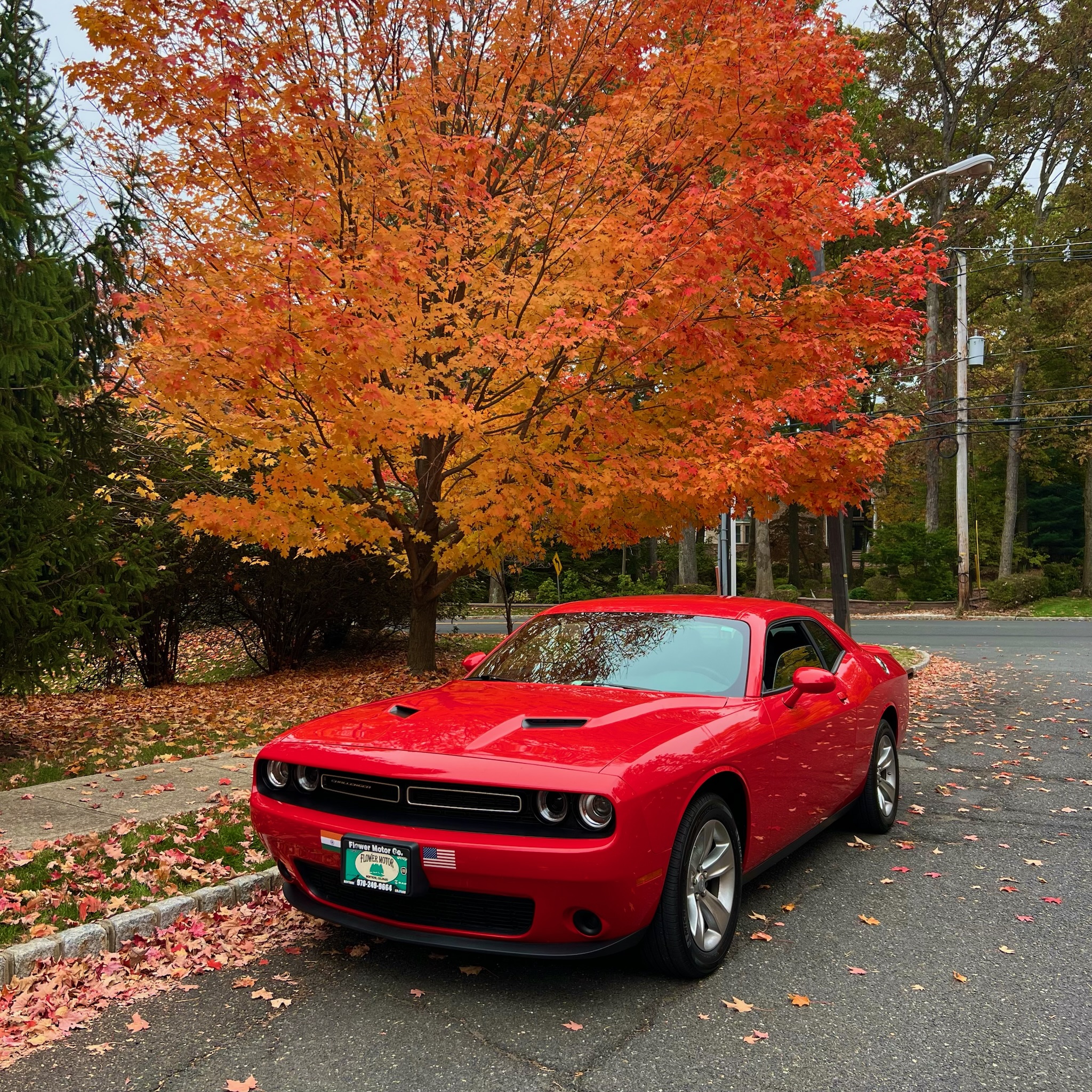 Used 2022 Dodge Challenger SXT RWD image 2