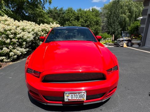 Used 2014 Ford Mustang Premium w/ Equipment Group 203A RWD image 4