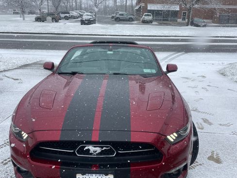 Used 2015 Ford Mustang GT Premium w/ Equipment Group 401A image 9