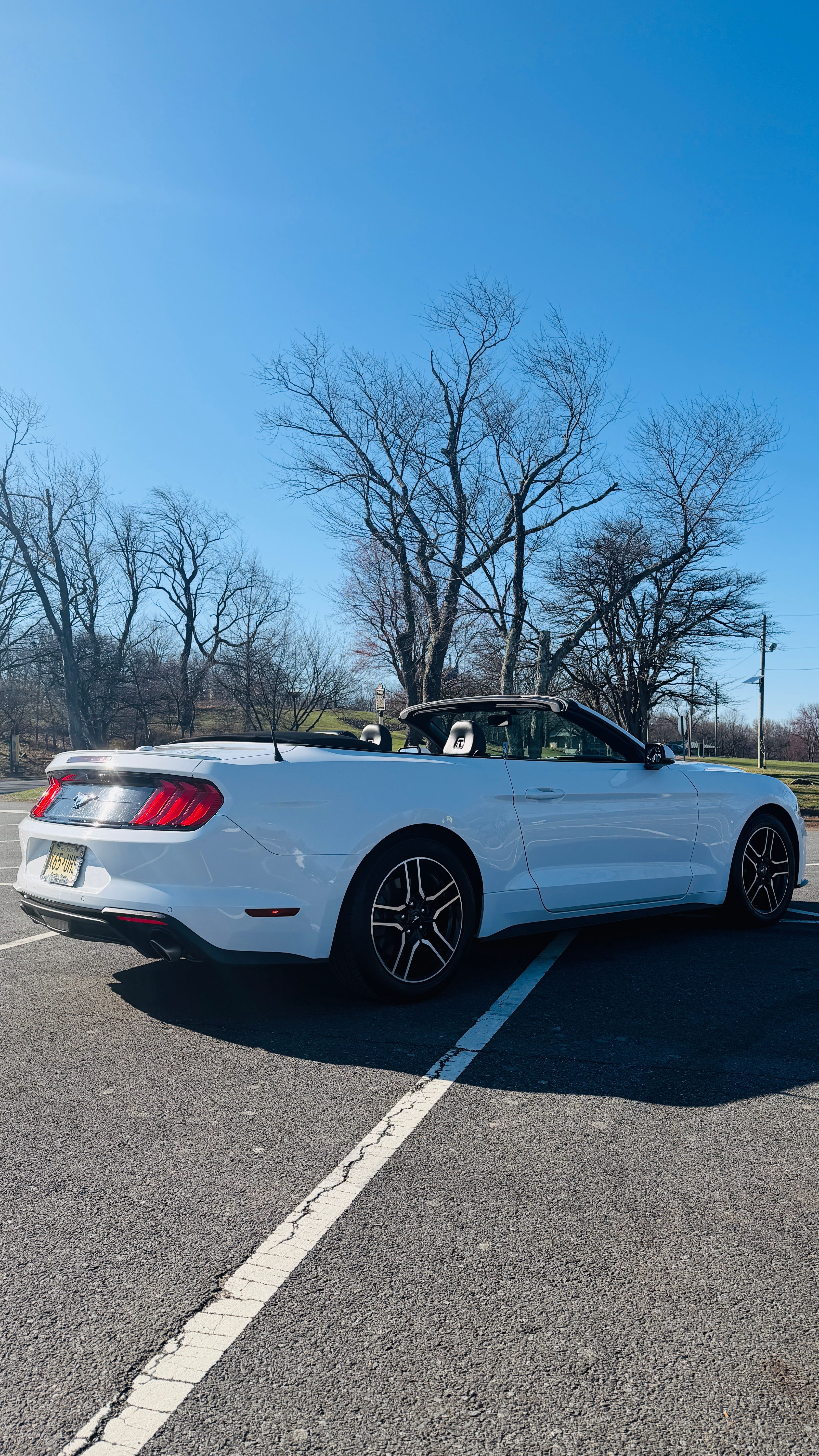 Used 2019 Ford Mustang Premium RWD image 2