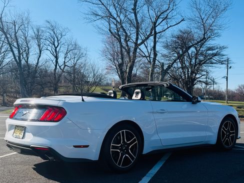 Used 2019 Ford Mustang Premium image 2