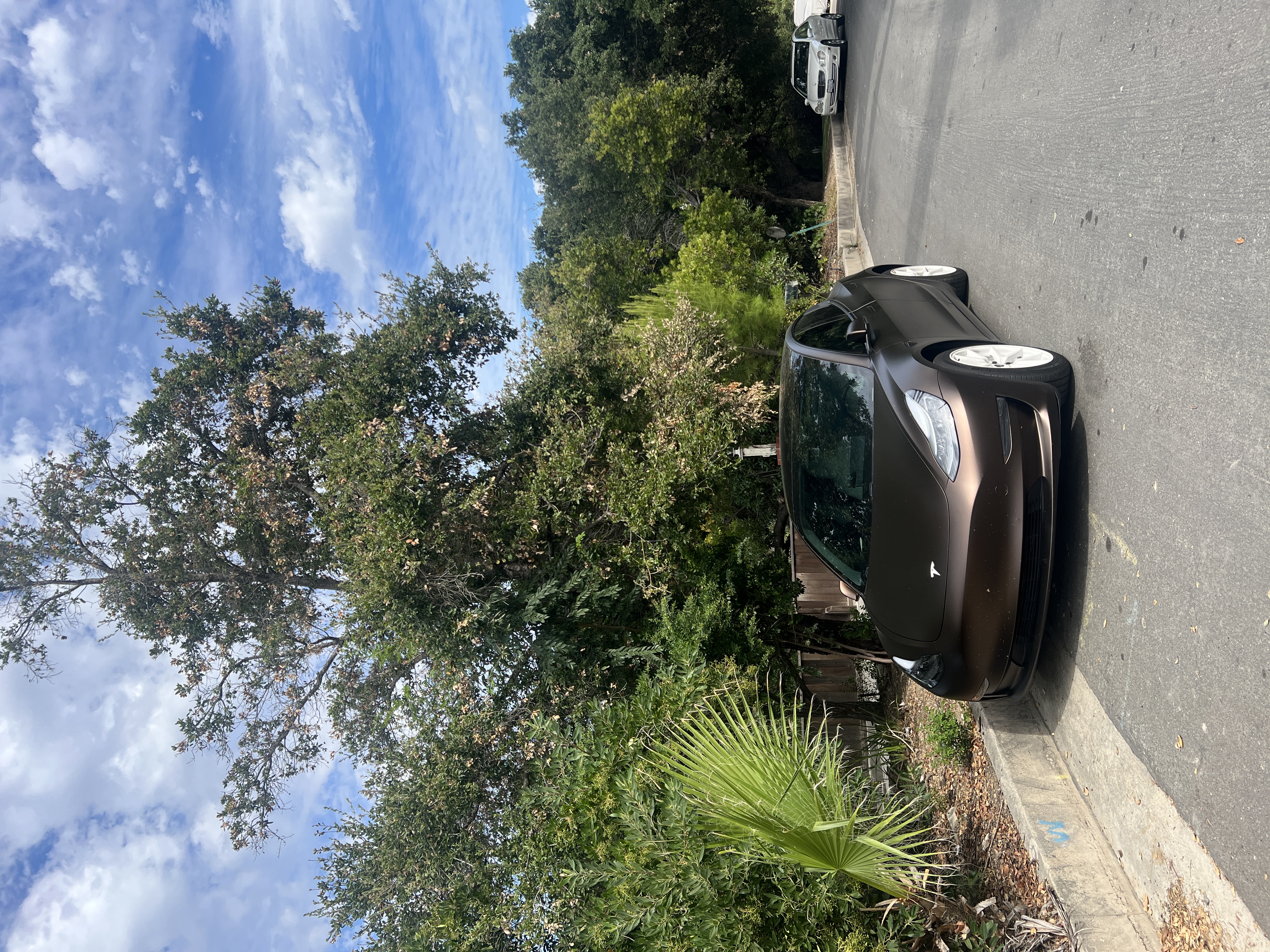Used 2021 Tesla Model 3 Standard Range Plus RWD image 11