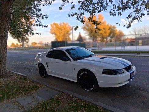 Used 2002 Ford Mustang Coupe image 2