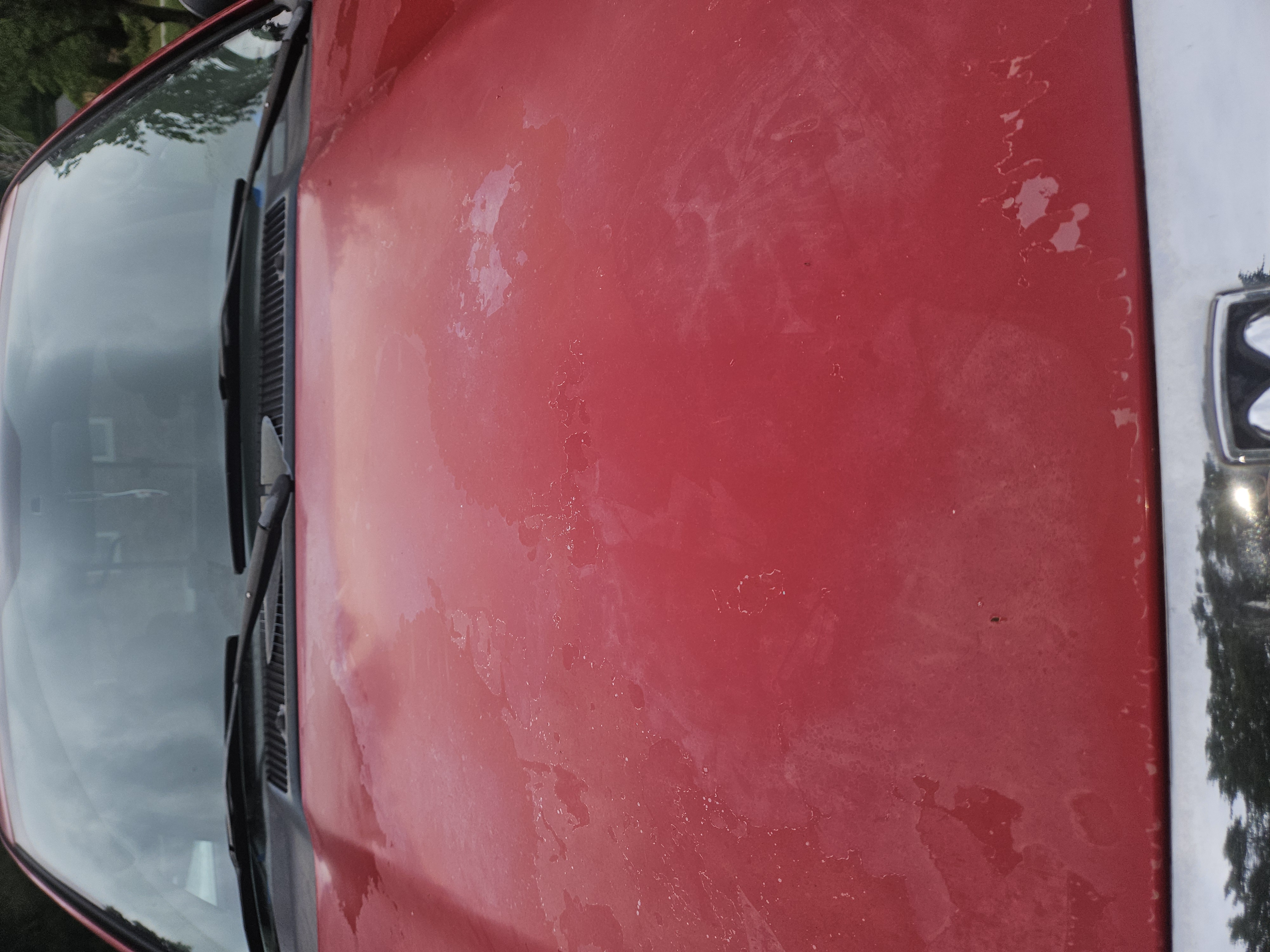 Used 2005 Dodge Ram 1500 Truck ST RWD image 5