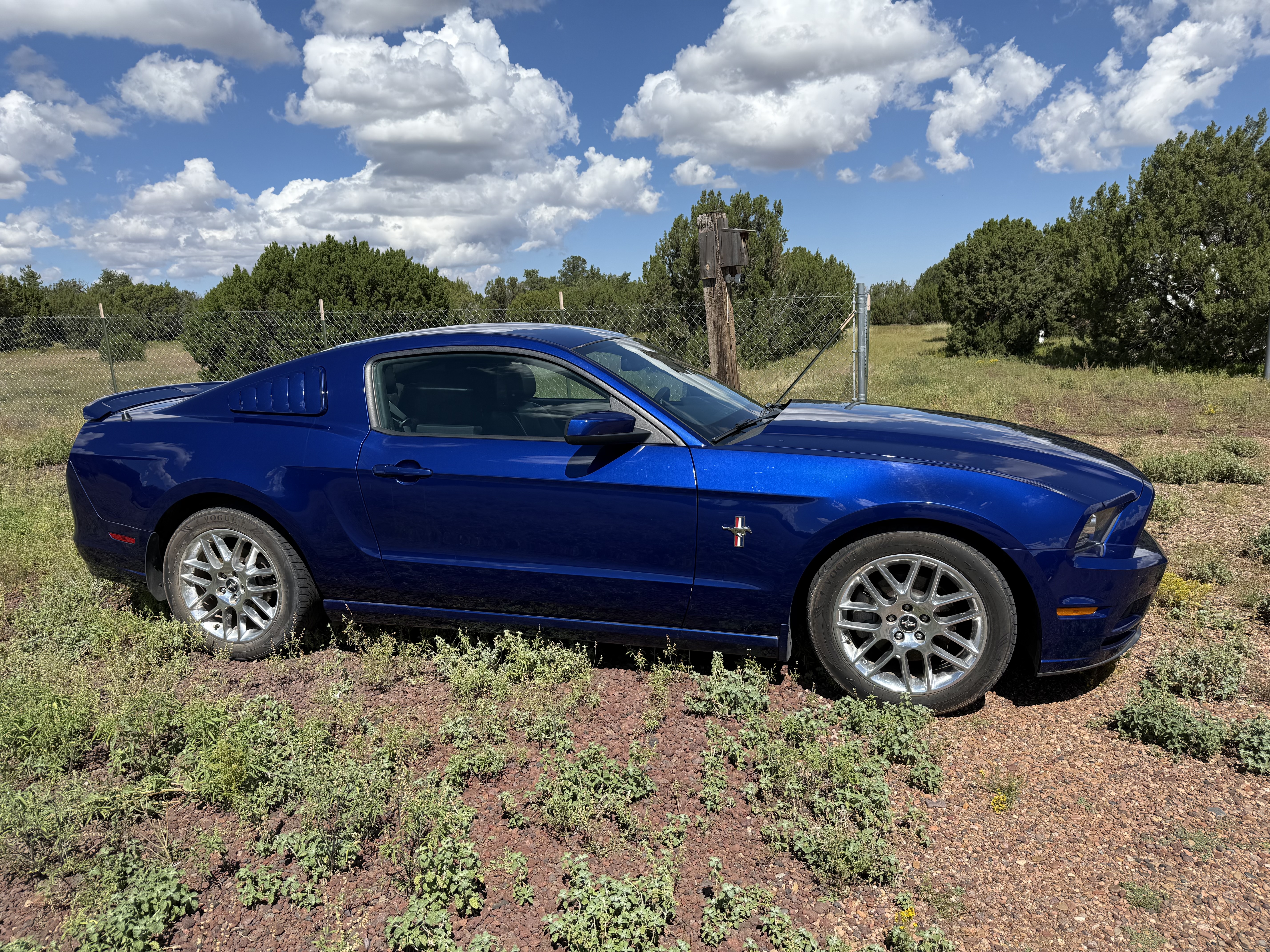 Used 2013 Ford Mustang Premium RWD image 4