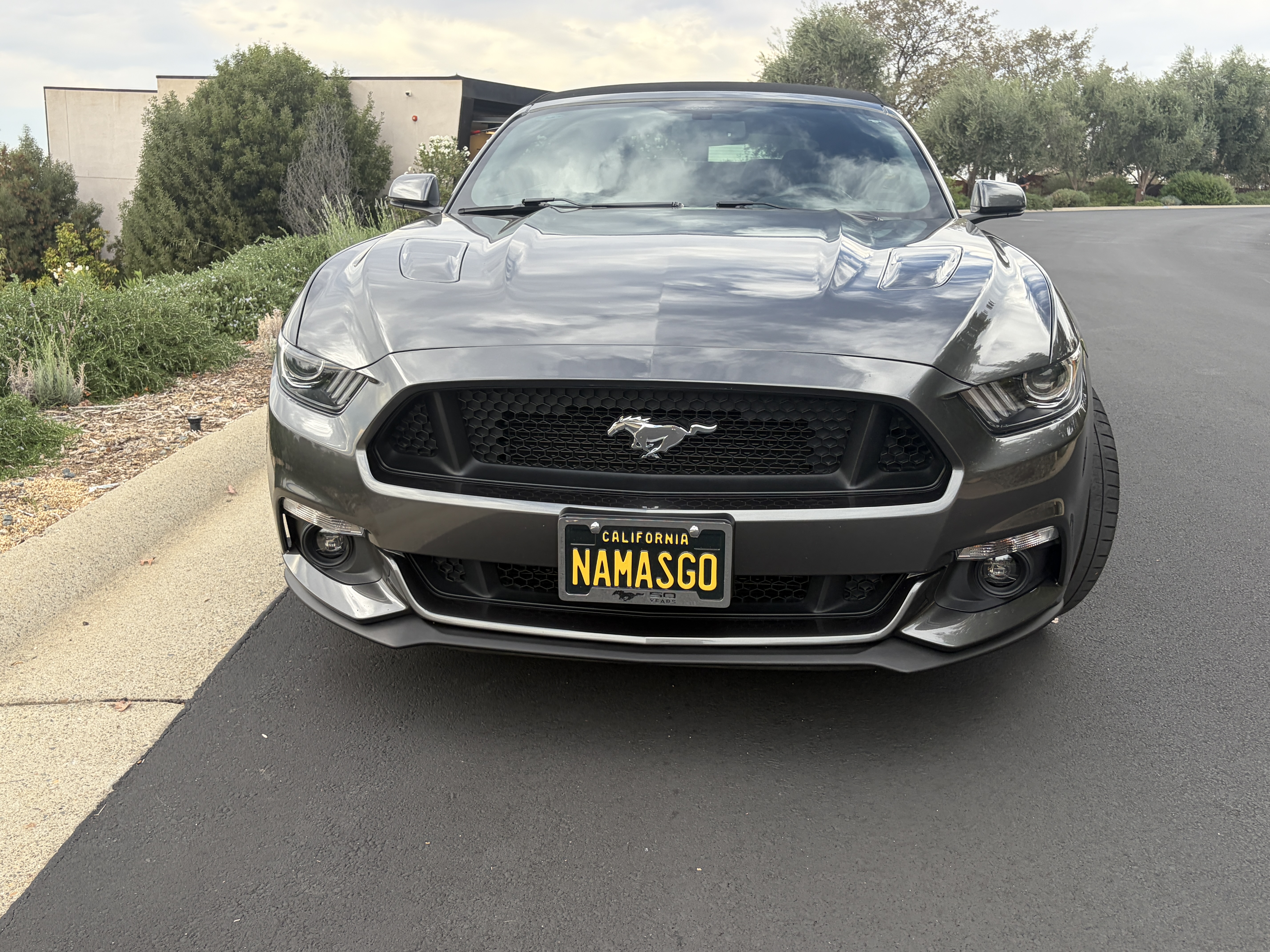 Used 2015 Ford Mustang GT Premium w/ Equipment Group 401A RWD image 6