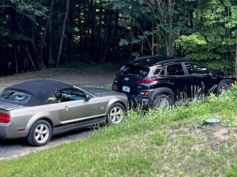 Used 2009 Ford Mustang Premium image 8