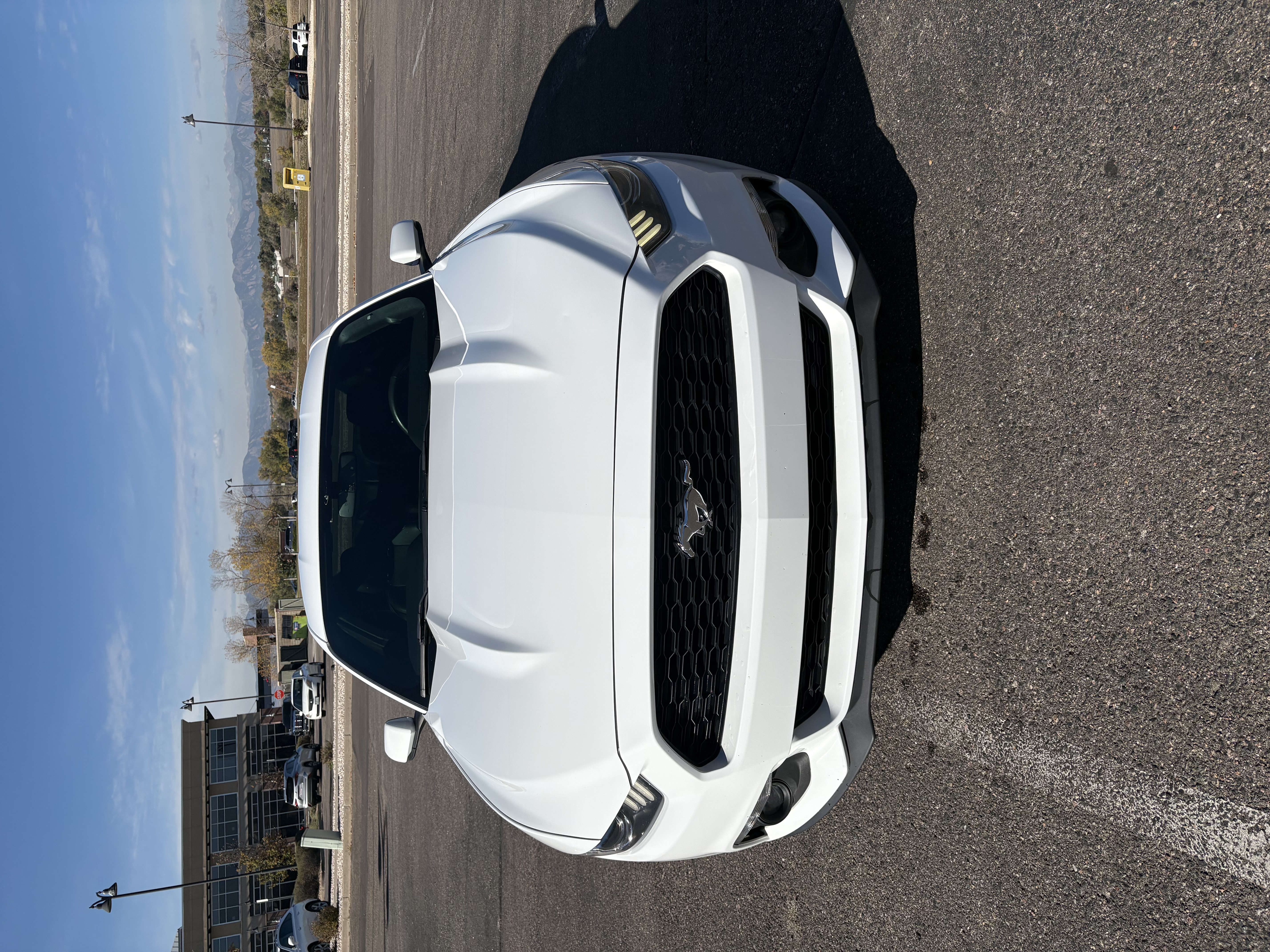 Used 2015 Ford Mustang Premium w/ Ecoboost Performance Package RWD image 4