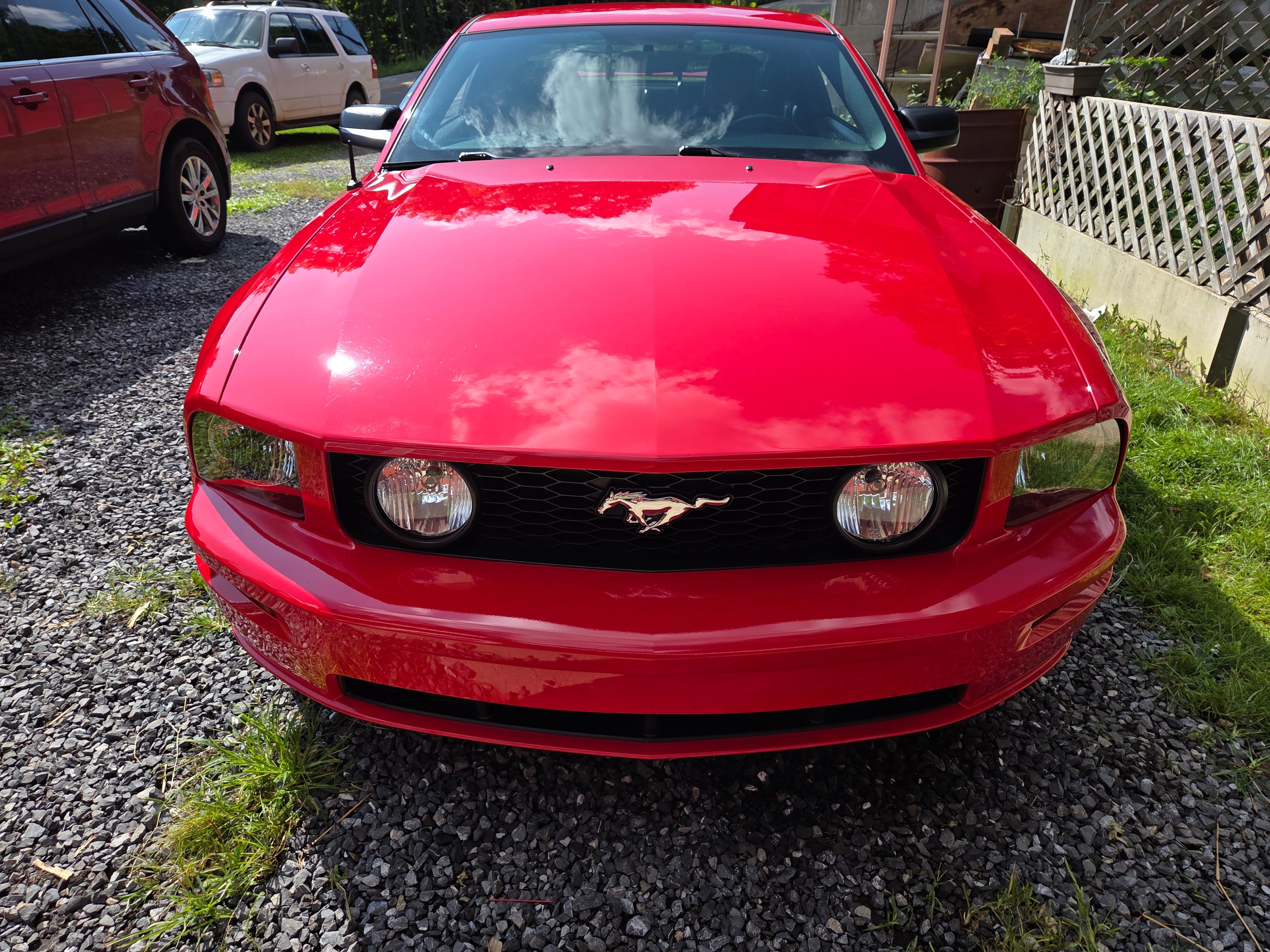 Used 2005 Ford Mustang GT Premium RWD image 1