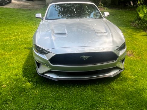 Used 2018 Ford Mustang Premium w/ Equipment Group 201A RWD image 8