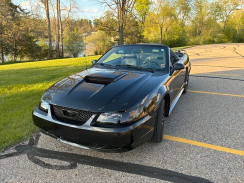 Used 2001 Ford Mustang Convertible RWD image 5