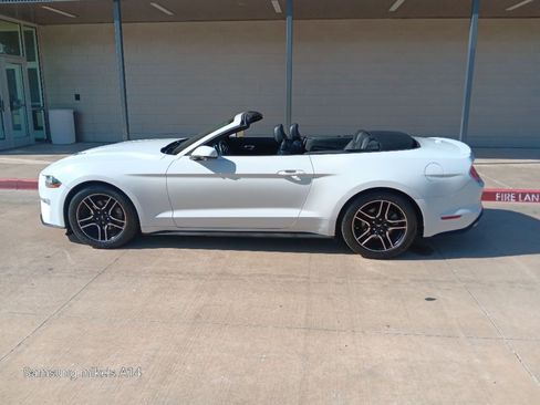 Used 2019 Ford Mustang Premium RWD image 2