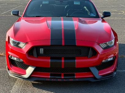 Used 2019 Ford Mustang Shelby GT350 w/ Technology Package