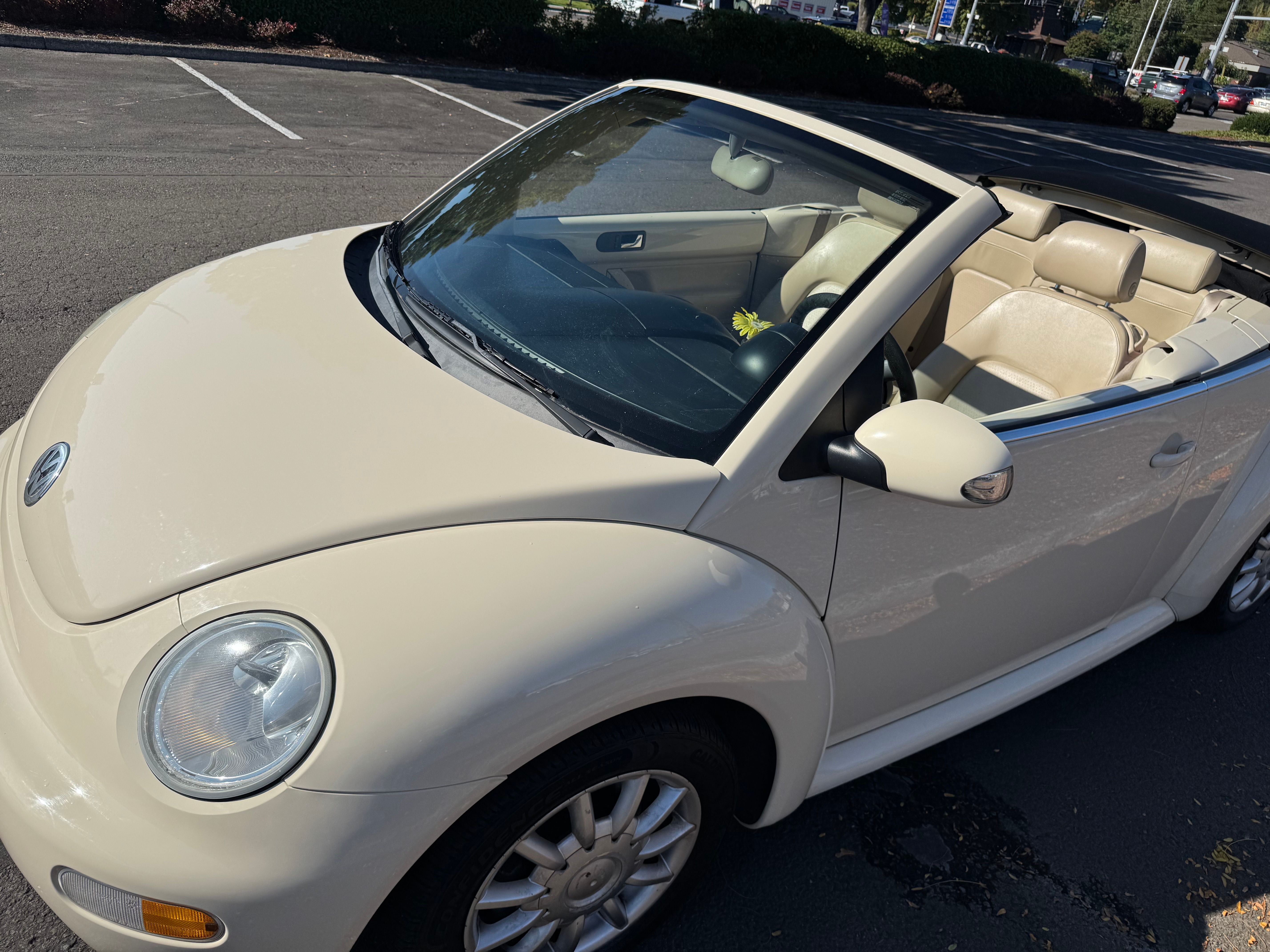 Used 2004 Volkswagen Beetle GLS FWD image 6