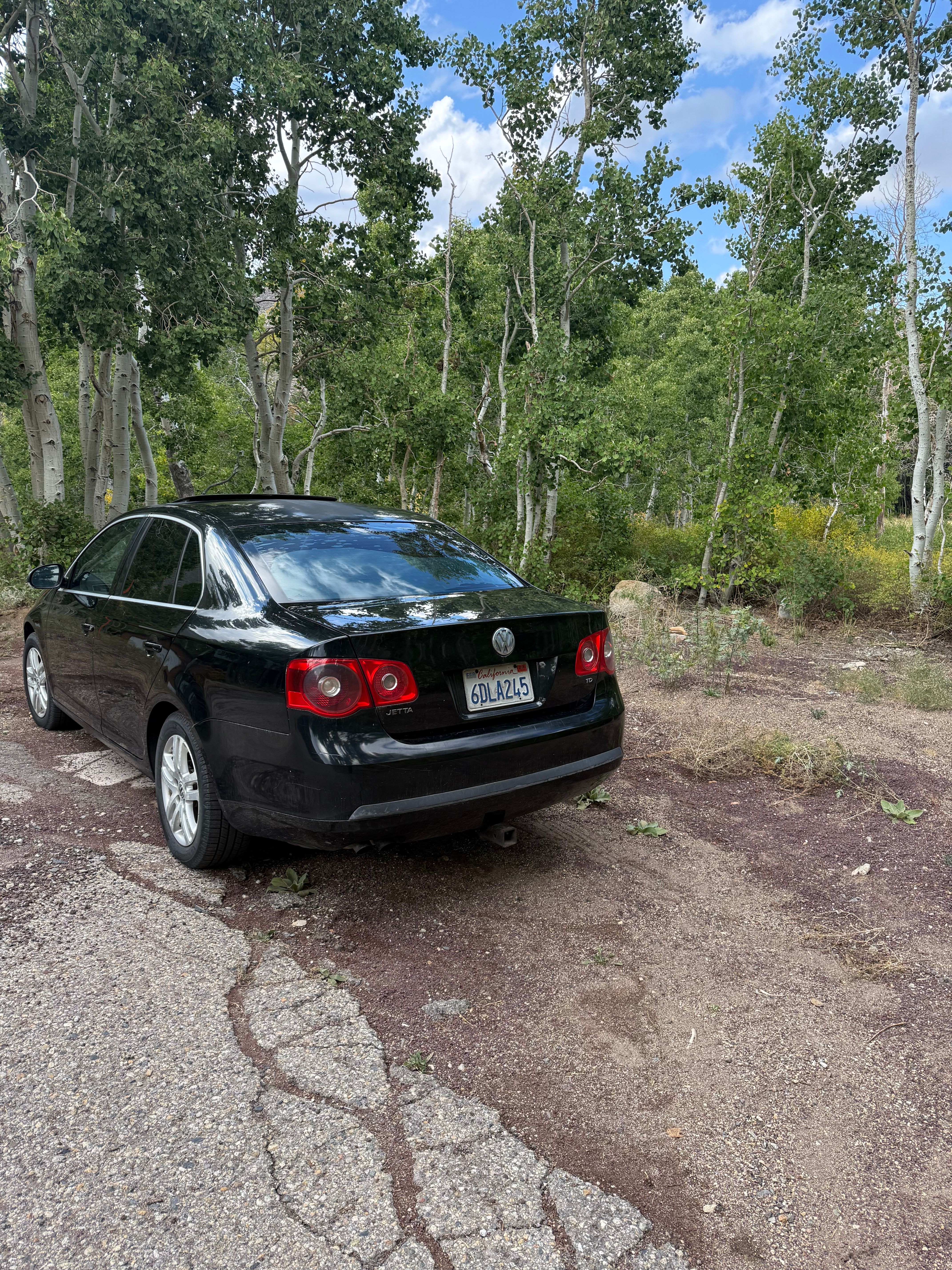 Used 2005 Volkswagen Jetta TDI FWD image 2