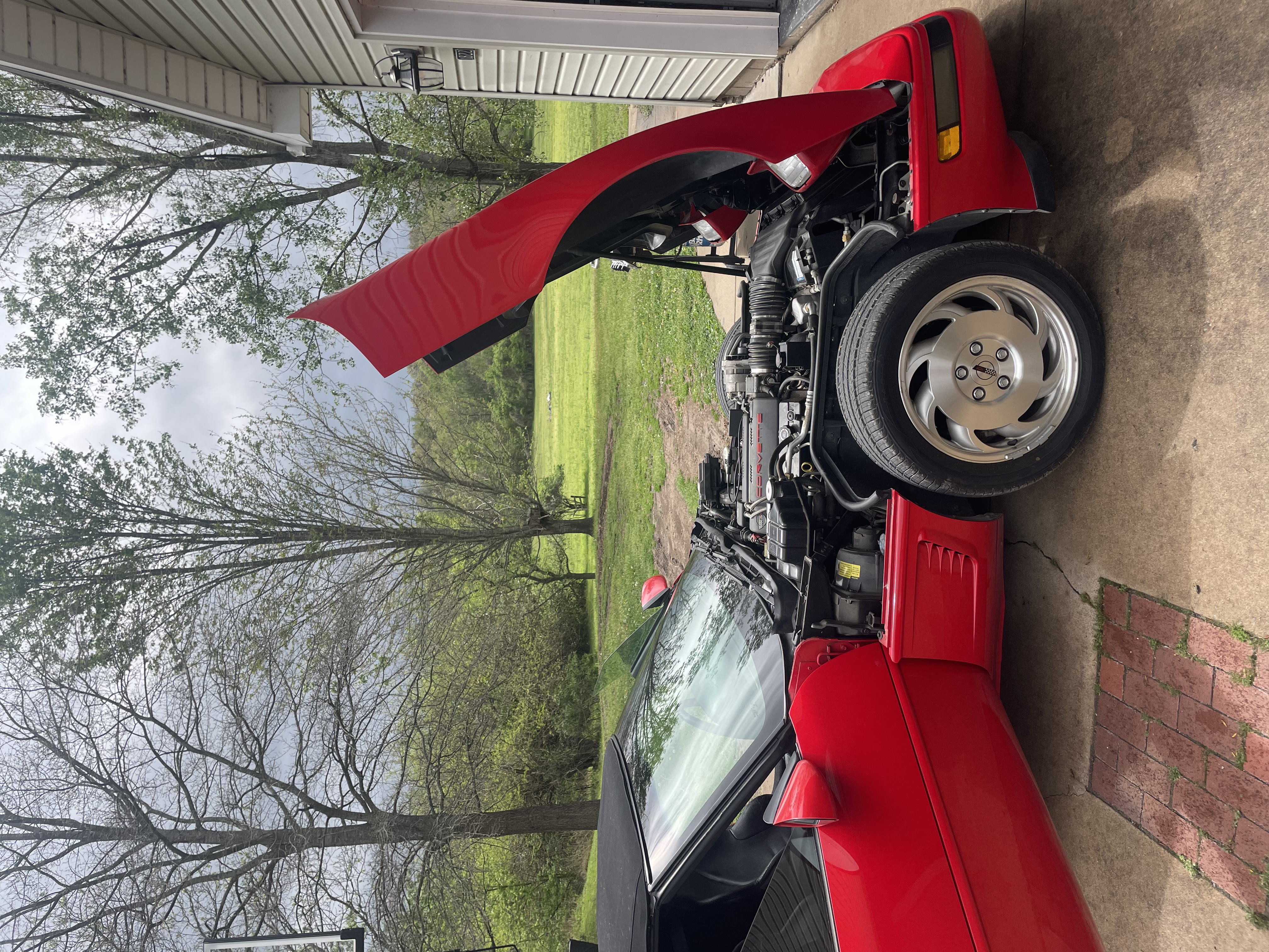 Used 1995 Chevrolet Corvette Convertible RWD image 12