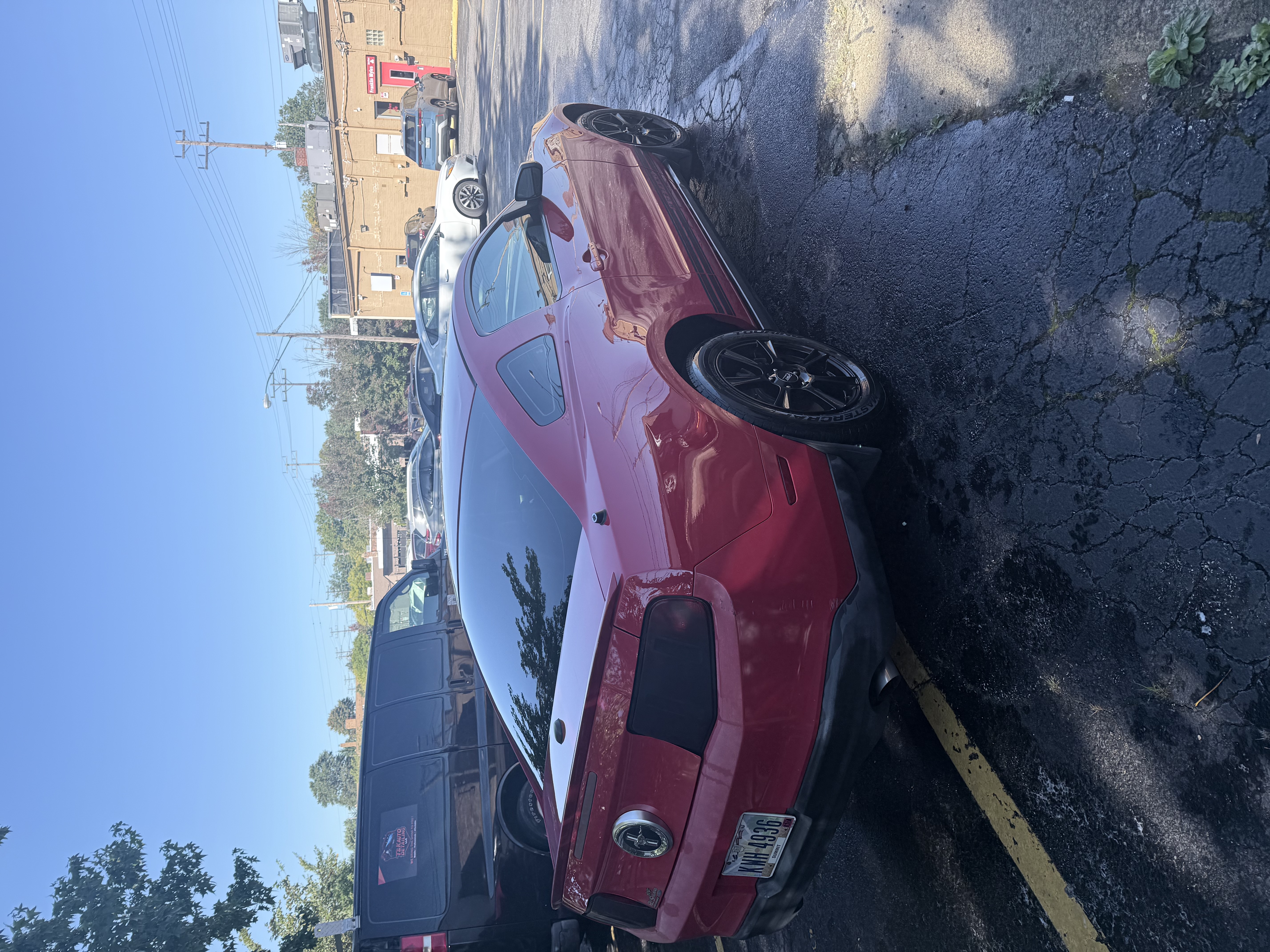 Used 2010 Ford Mustang Premium RWD image 13