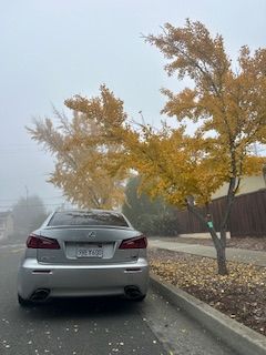Used 2008 Lexus IS F RWD image 6