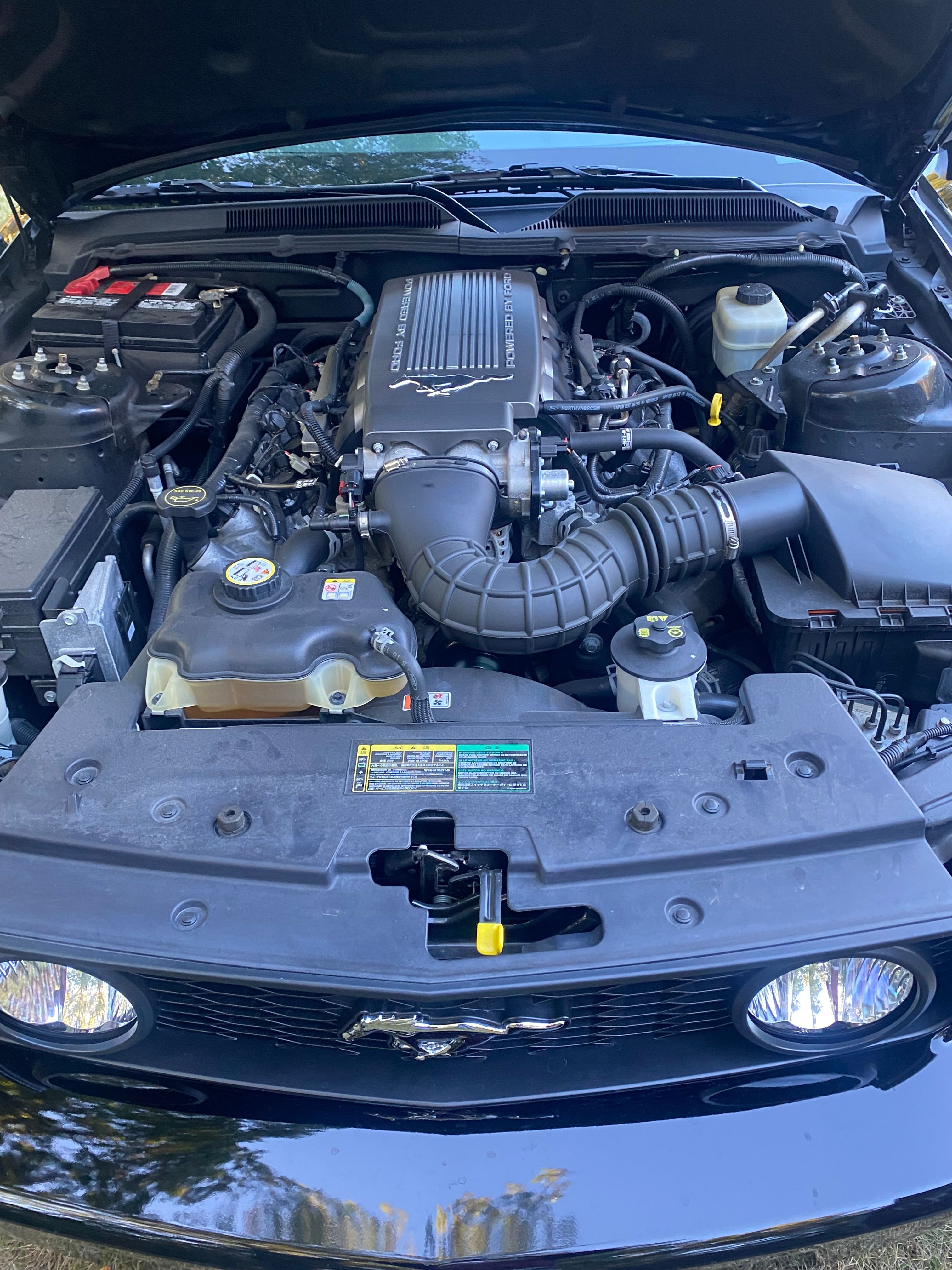 Used 2005 Ford Mustang GT RWD image 8