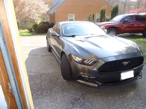 Used 2017 Ford Mustang Premium image 15