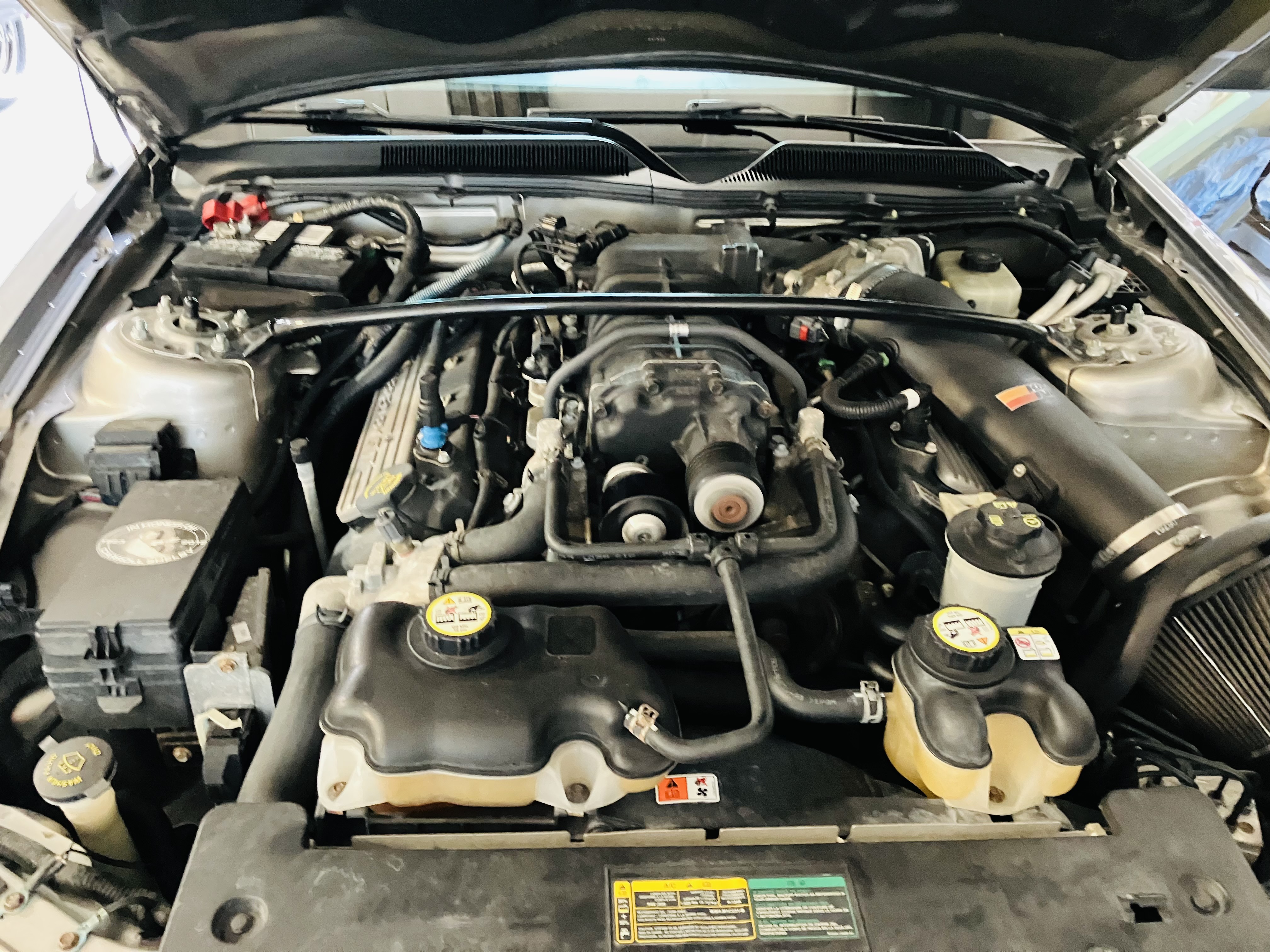 Used 2008 Ford Mustang Shelby GT500 RWD image 5