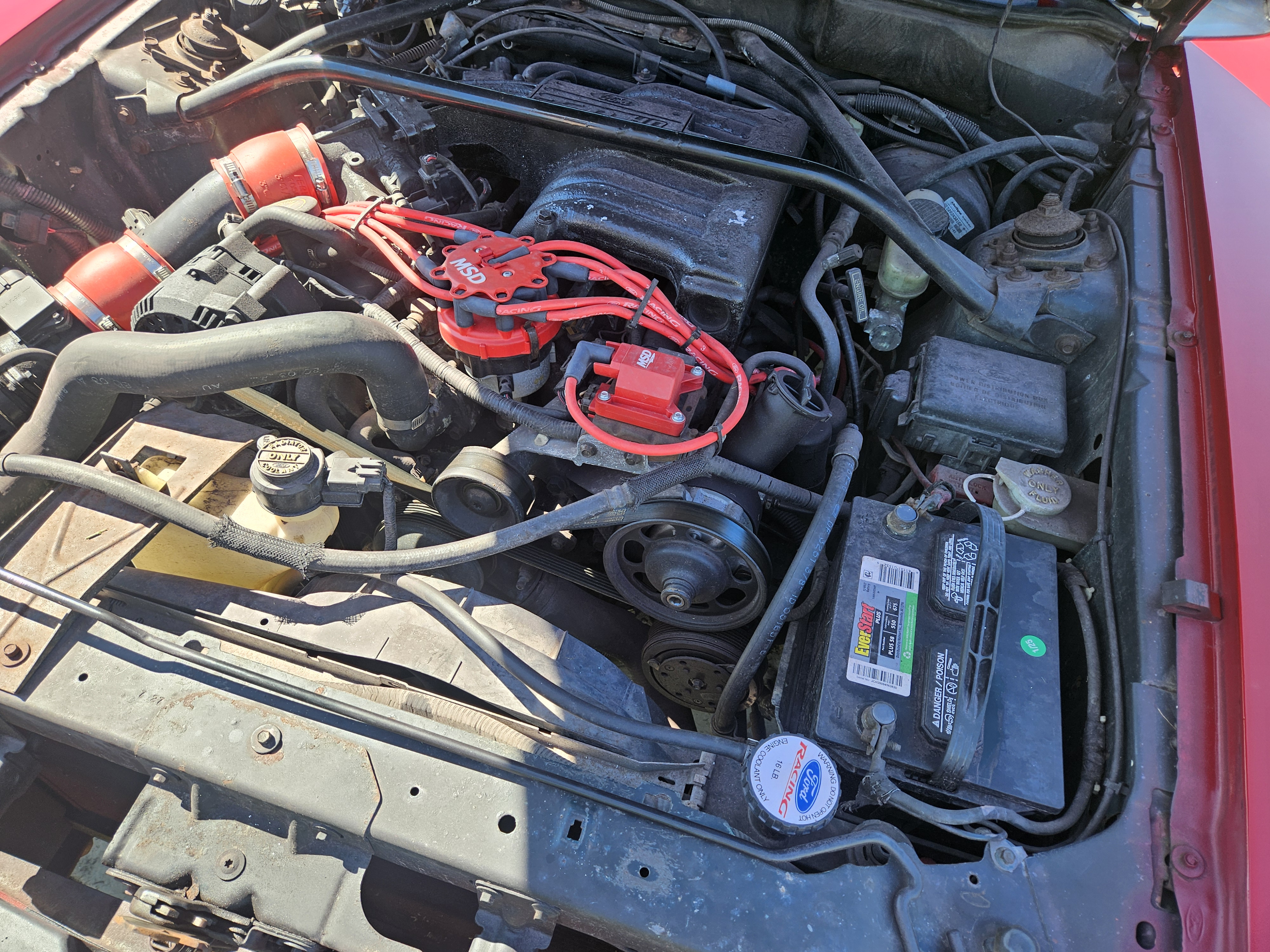 Used 1995 Ford Mustang GT RWD image 12