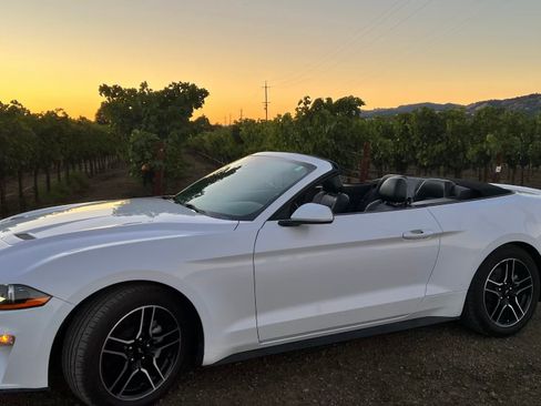 Used 2021 Ford Mustang Premium image 1