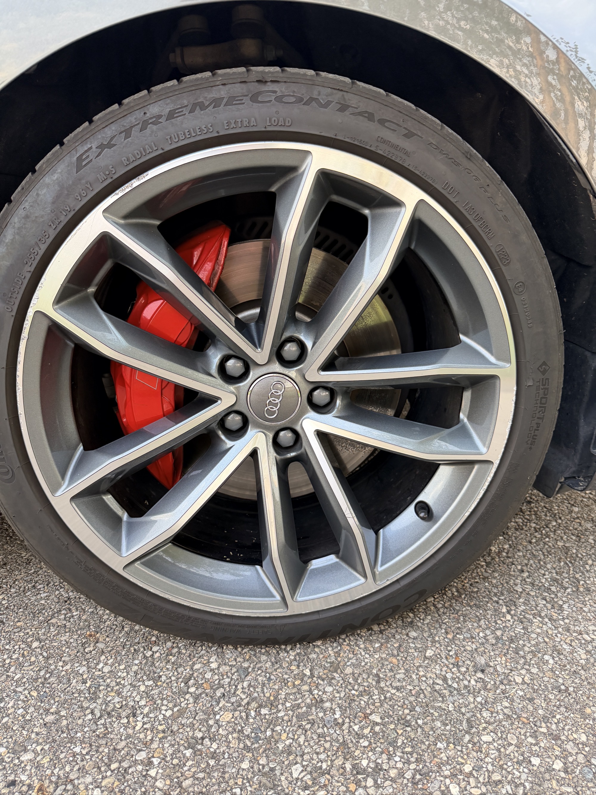 Used 2019 Audi S5 Prestige w/ S Sport Package AWD/4WD image 14