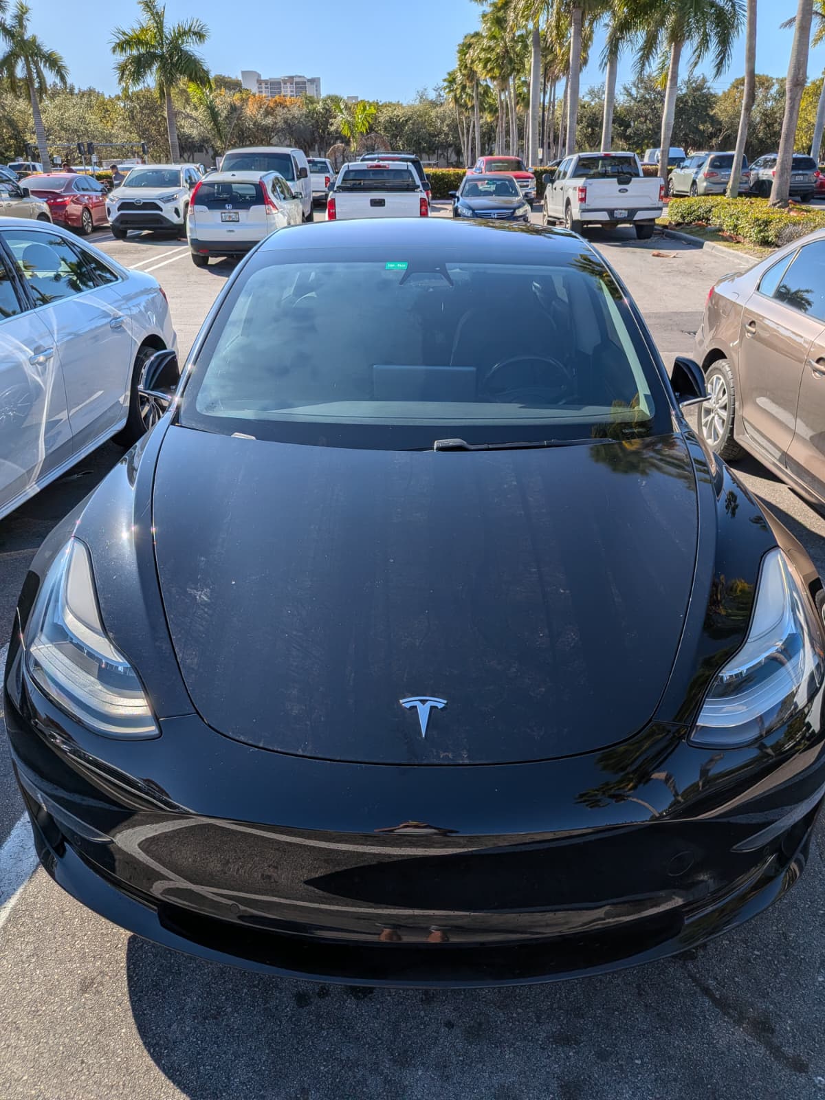 Used 2019 Tesla Model 3 Standard Range Plus RWD image 4