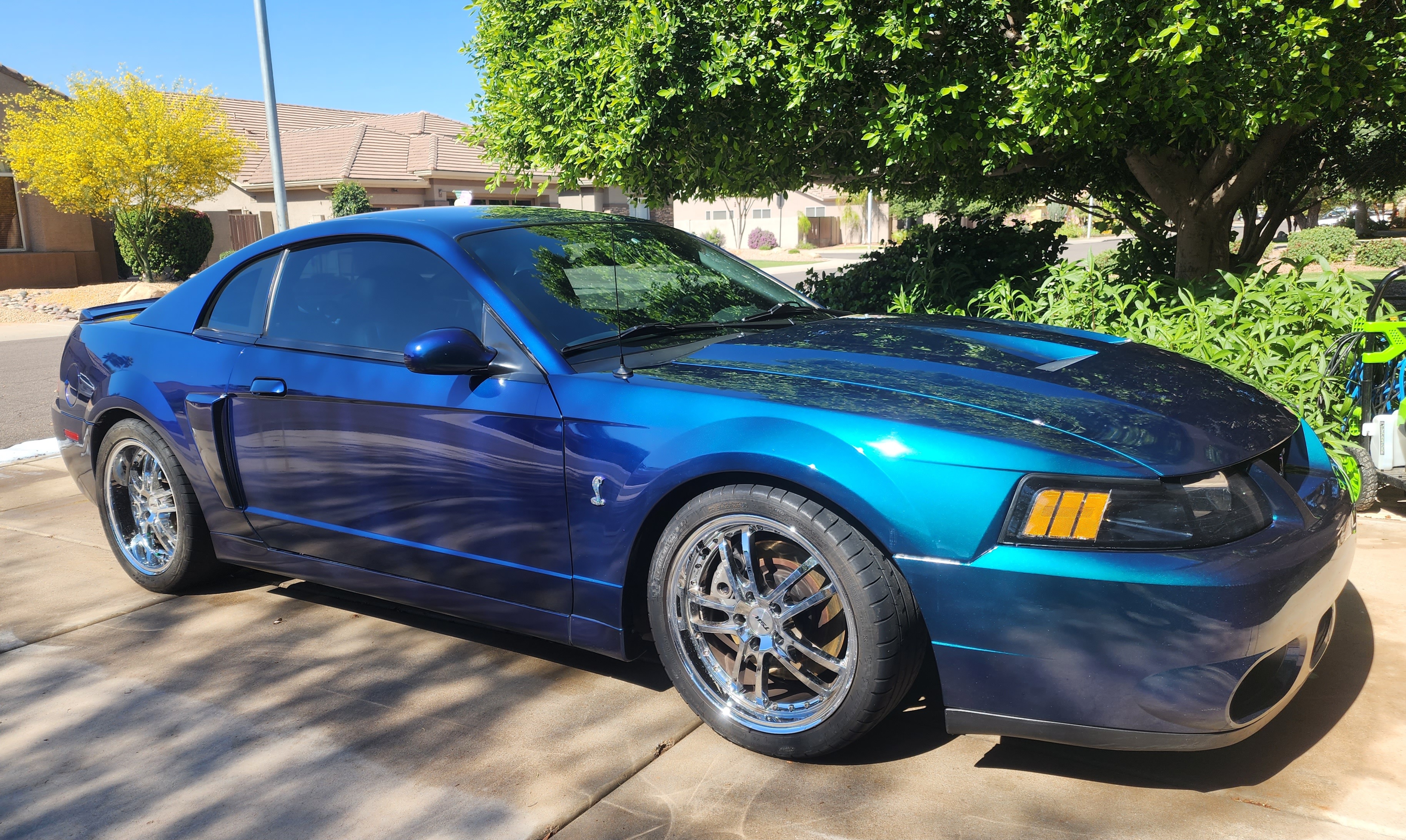 Used 2004 Ford Mustang Cobra RWD image 4