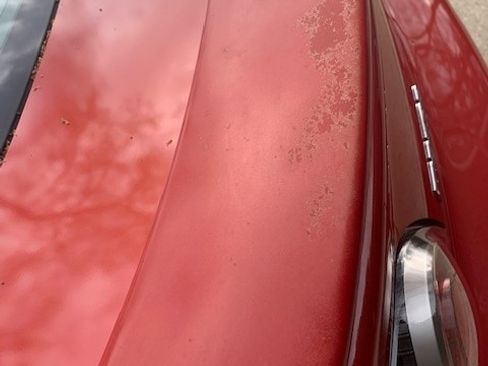 Used 2004 MAZDA RX-8 w/ Appearance Pkg image 10