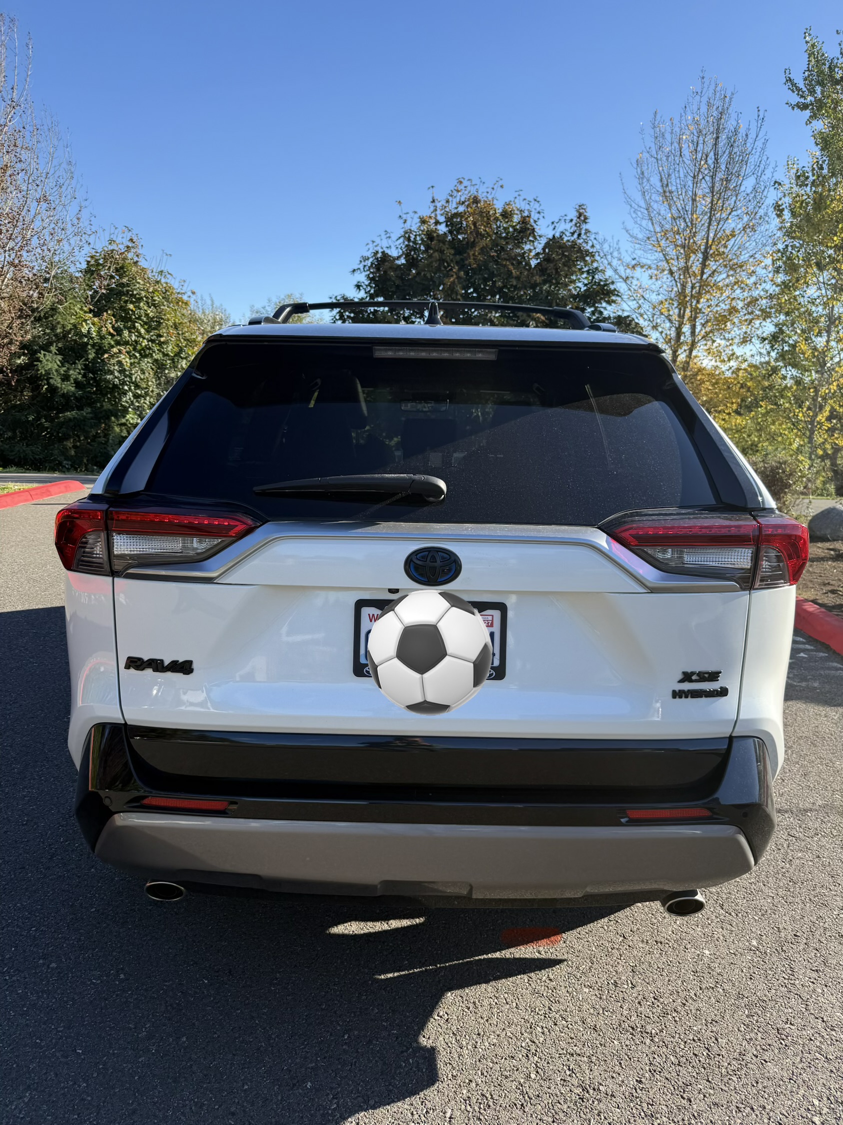 Used 2020 Toyota RAV4 XSE AWD/4WD image 5
