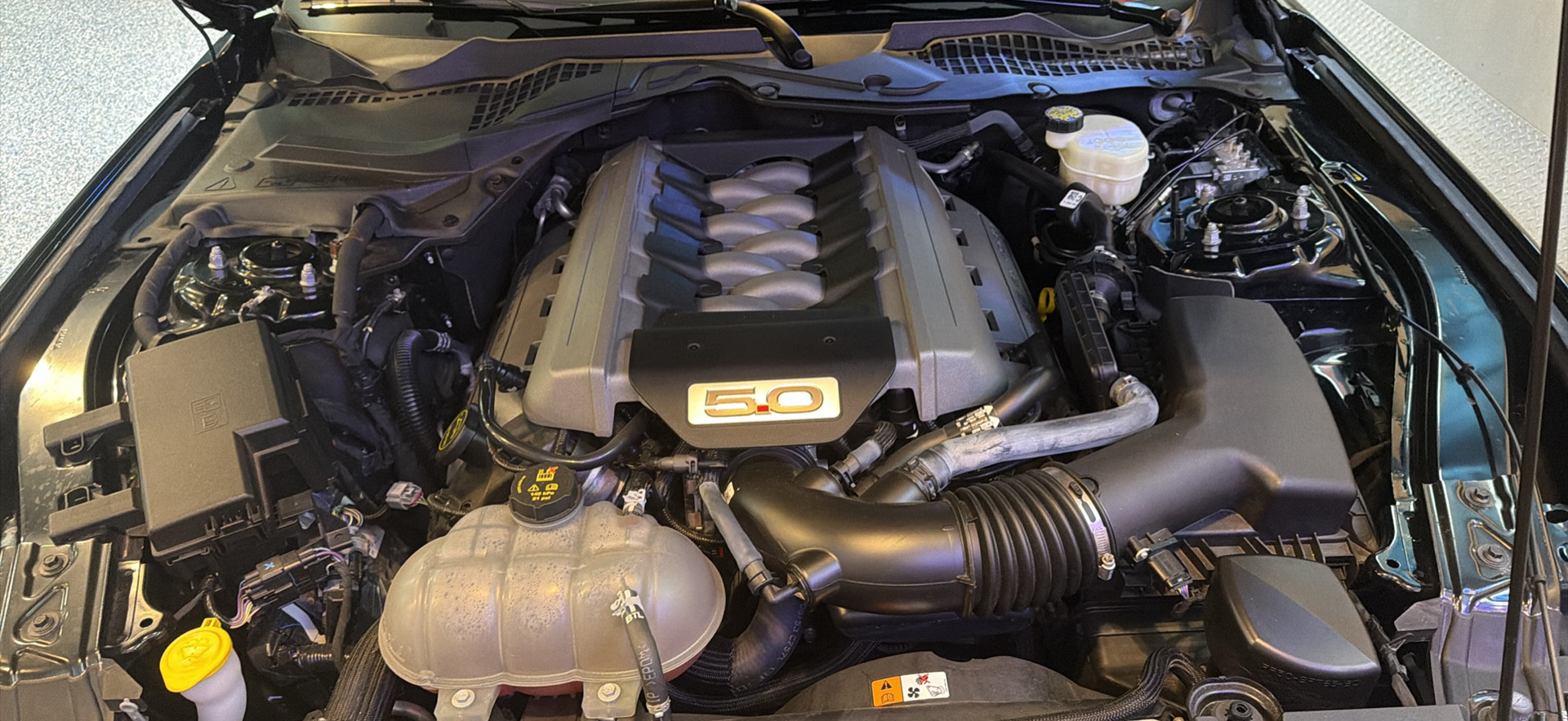 Used 2016 Ford Mustang GT Premium w/ Equipment Group 401A RWD image 15