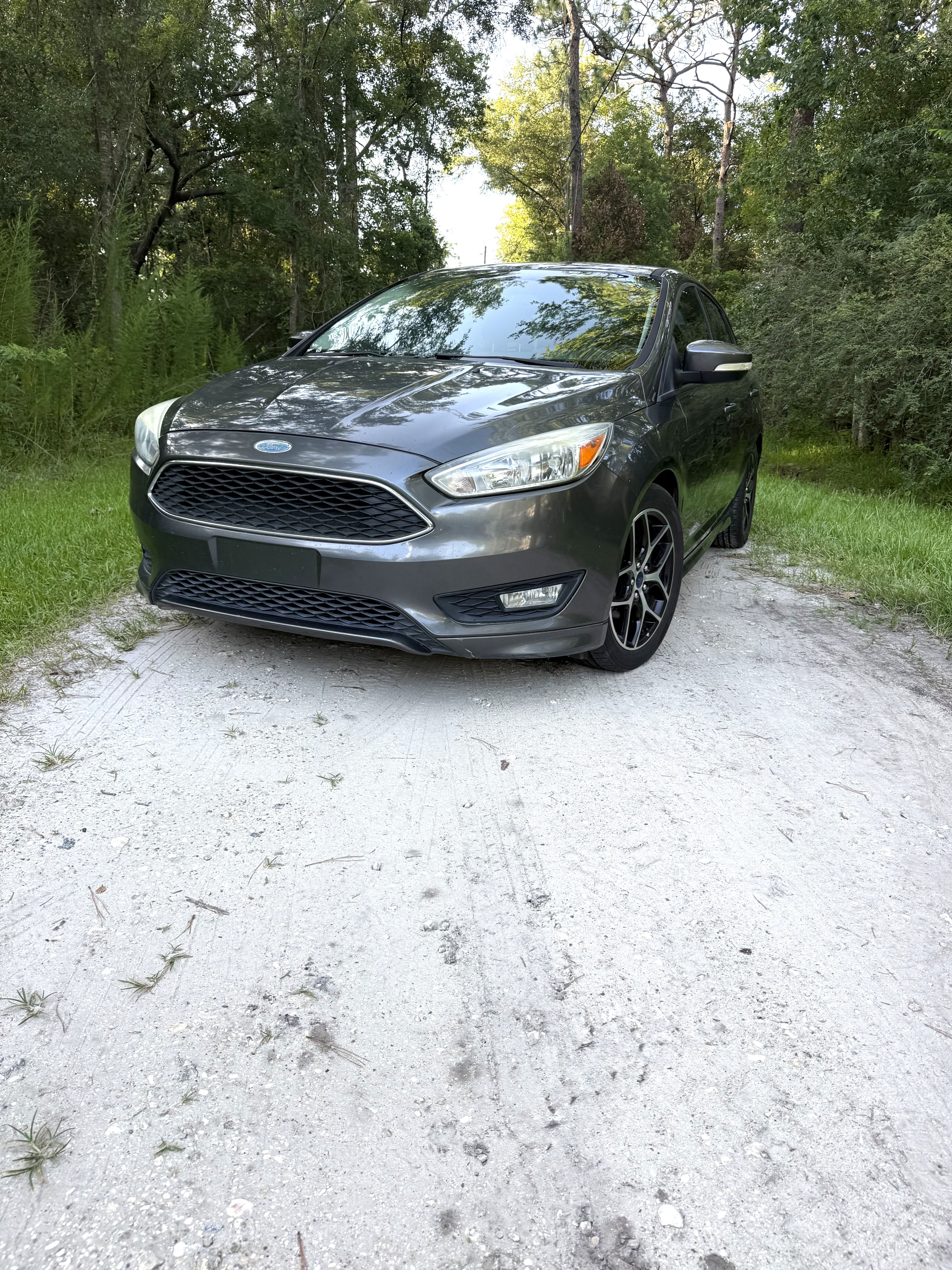 Used 2016 Ford Focus SE w/ SE Sport Package FWD image 13