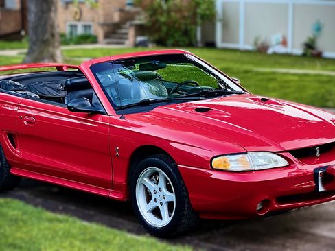 Used 1997 Ford Mustang Cobra RWD image 6