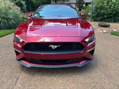 Used 2019 Ford Mustang Premium w/ Equipment Group 201A RWD image 6