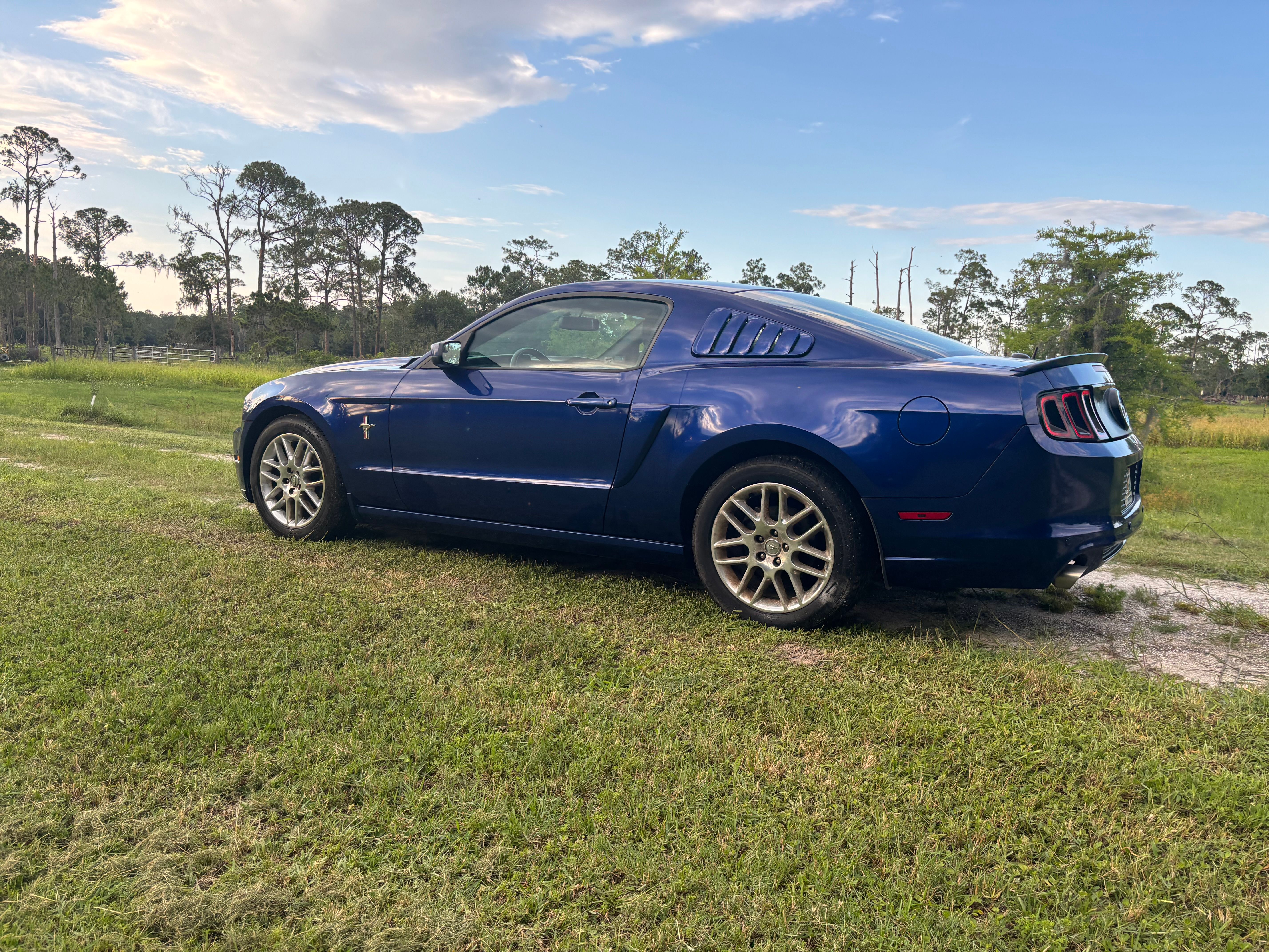 Used 2014 Ford Mustang Premium w/ Equipment Group 202A RWD image 5