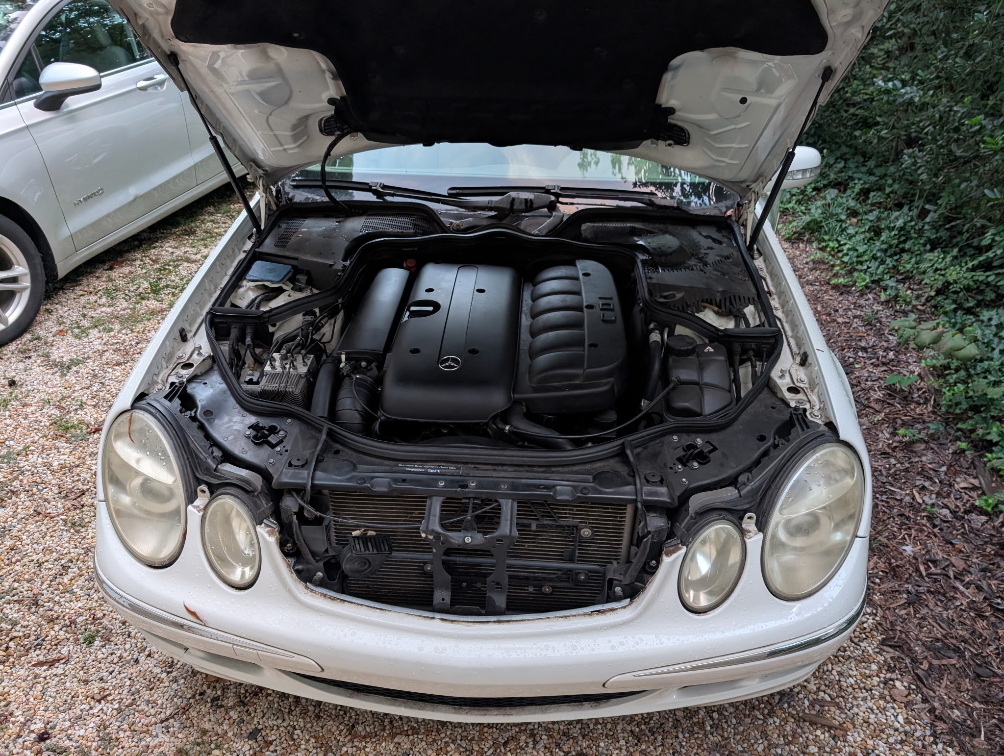 Used 2006 Mercedes-Benz E 320 CDI Sedan image 14