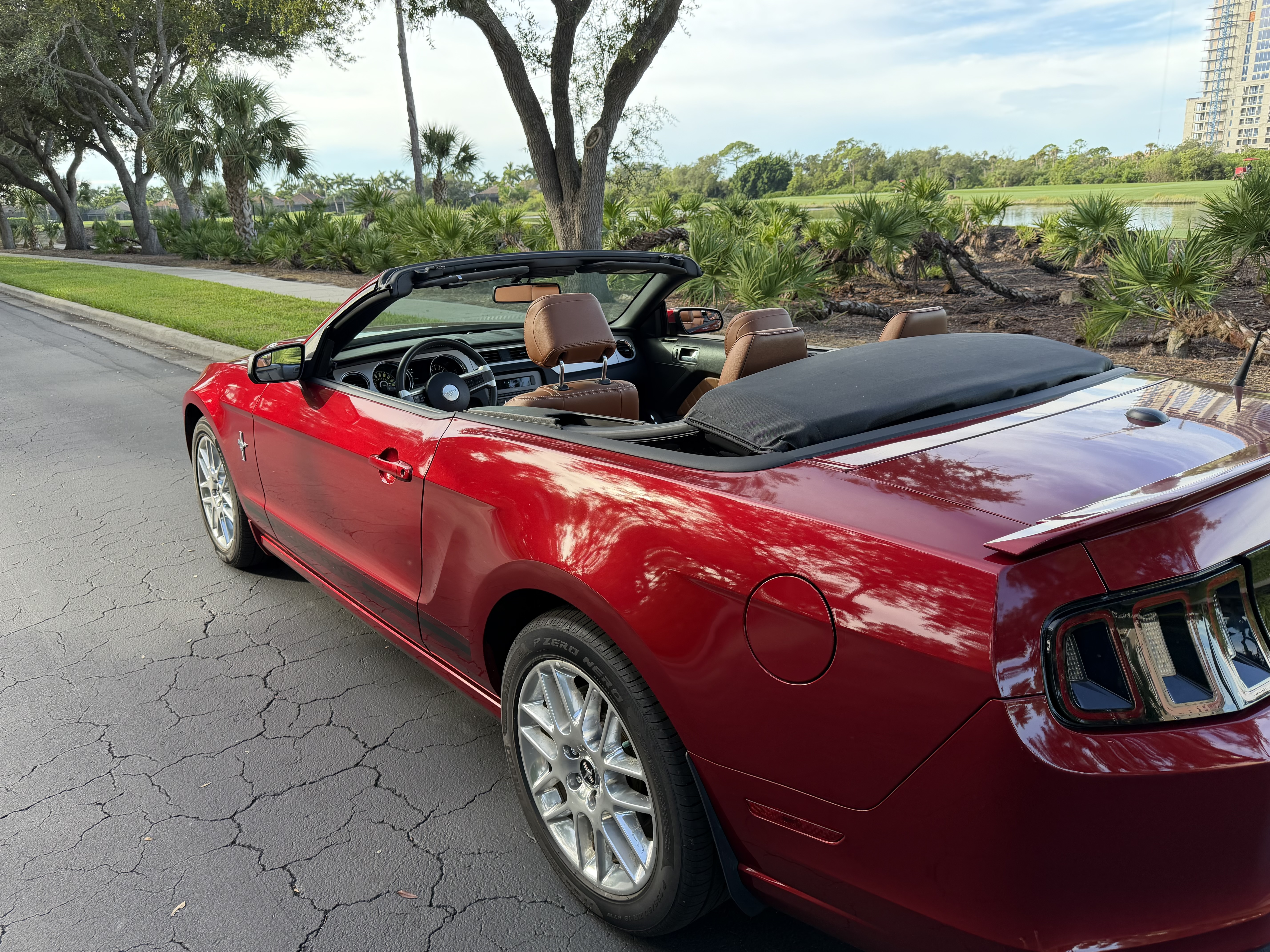 Used 2014 Ford Mustang Premium w/ Equipment Group 202A RWD image 13
