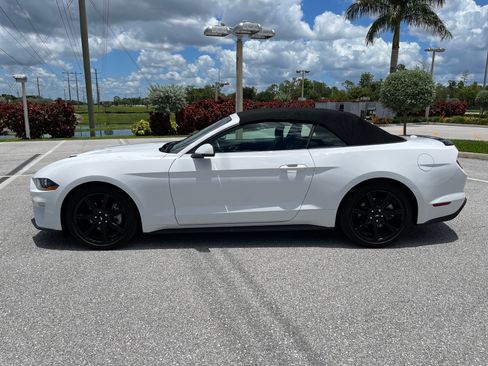 Used 2019 Ford Mustang Premium w/ Equipment Group 201A RWD image 4