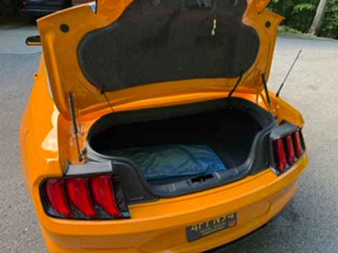 Used 2019 Ford Mustang Premium w/ Equipment Group 201A RWD image 14