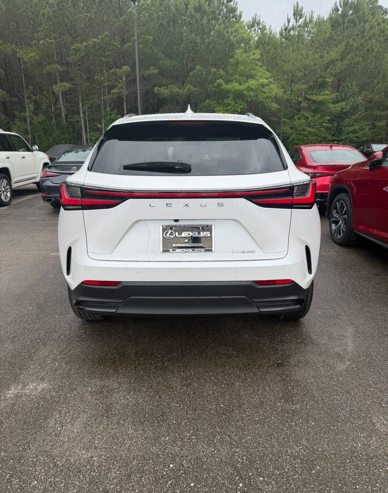 Used 2024 Lexus NX 250 FWD image 2