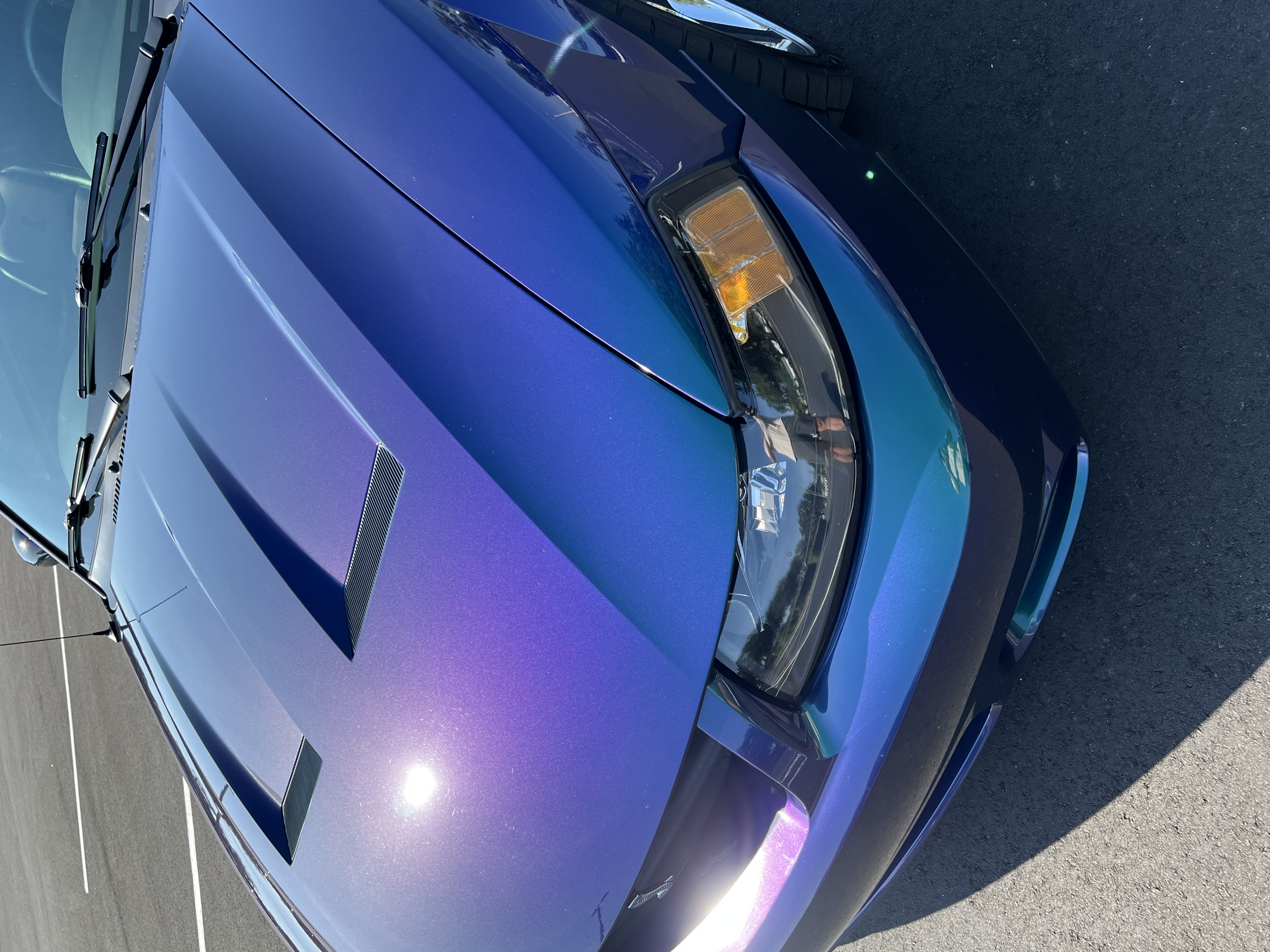 Used 2004 Ford Mustang Cobra RWD image 2