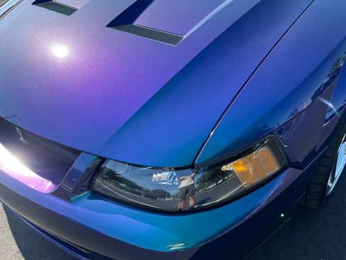 Used 2004 Ford Mustang Cobra RWD image 2