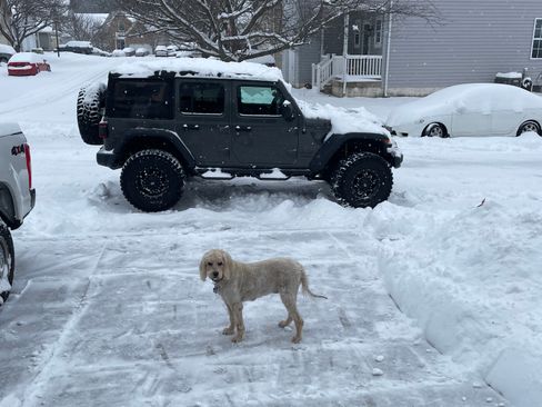 Used 2021 Jeep Wrangler Unlimited Rubicon w/ Safety Group image 6