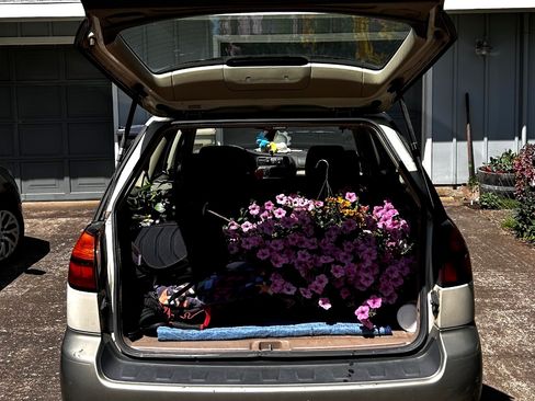 Used 2004 Subaru Outback Wagon image 9