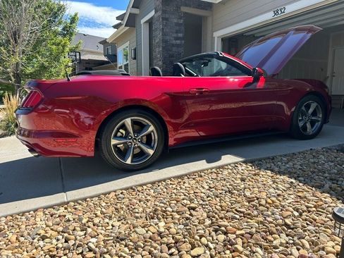 Used 2017 Ford Mustang Convertible w/ Equipment Group 051A RWD image 2