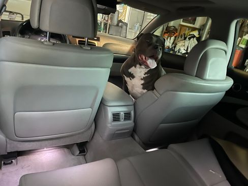 Used 2006 Lexus GS 300 image 9