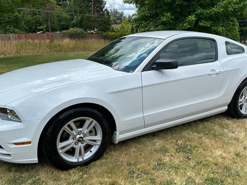 Used 2014 Ford Mustang Coupe w/ Equipment Group 102A image 2